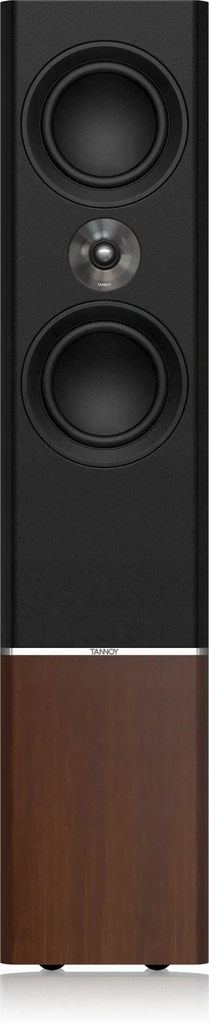 TANNOY PLATINUM F6 BLACK BURGUNDY-0