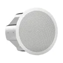 Громкоговоритель TANNOY CVS 801