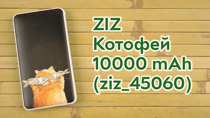 Распаковка ZIZ Котофей 10000 mAh (ziz_45060)