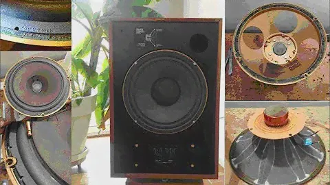 TANNOY HPD 315 remplacement suspension