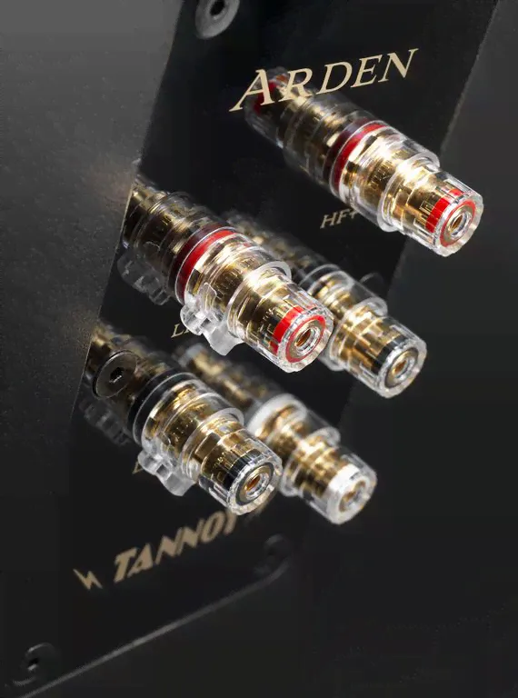 Напольная акустическая система Tannoy Arden Walnut-0