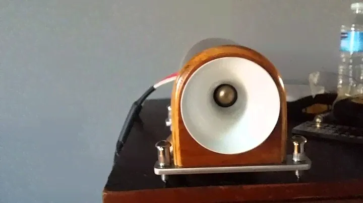 Tannoy st200 tube custom tweeter