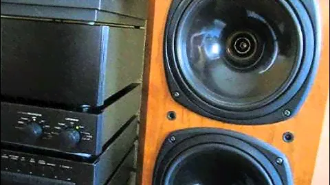 Tannoy D500