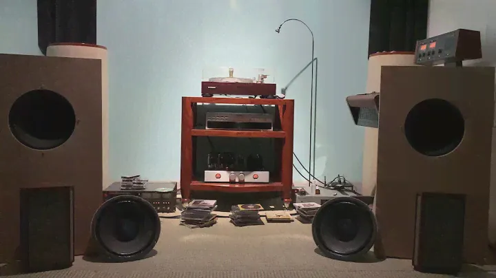 TANNOY RED 12”