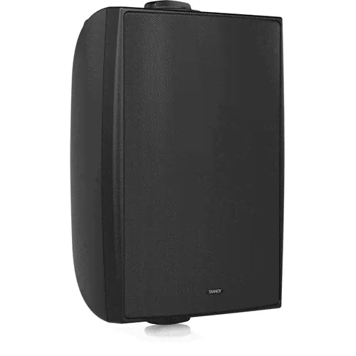 Пассивная акустическая система Tannoy DVS 6T-0