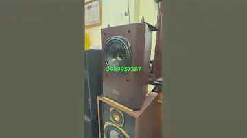 tannoy d-100
