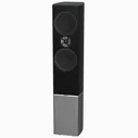 Акустическая система Tannoy Platinum F6 Black
